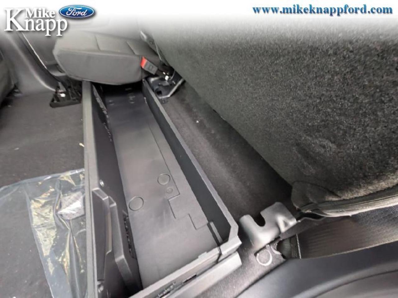 2026 Ford F-150 XLT Photo