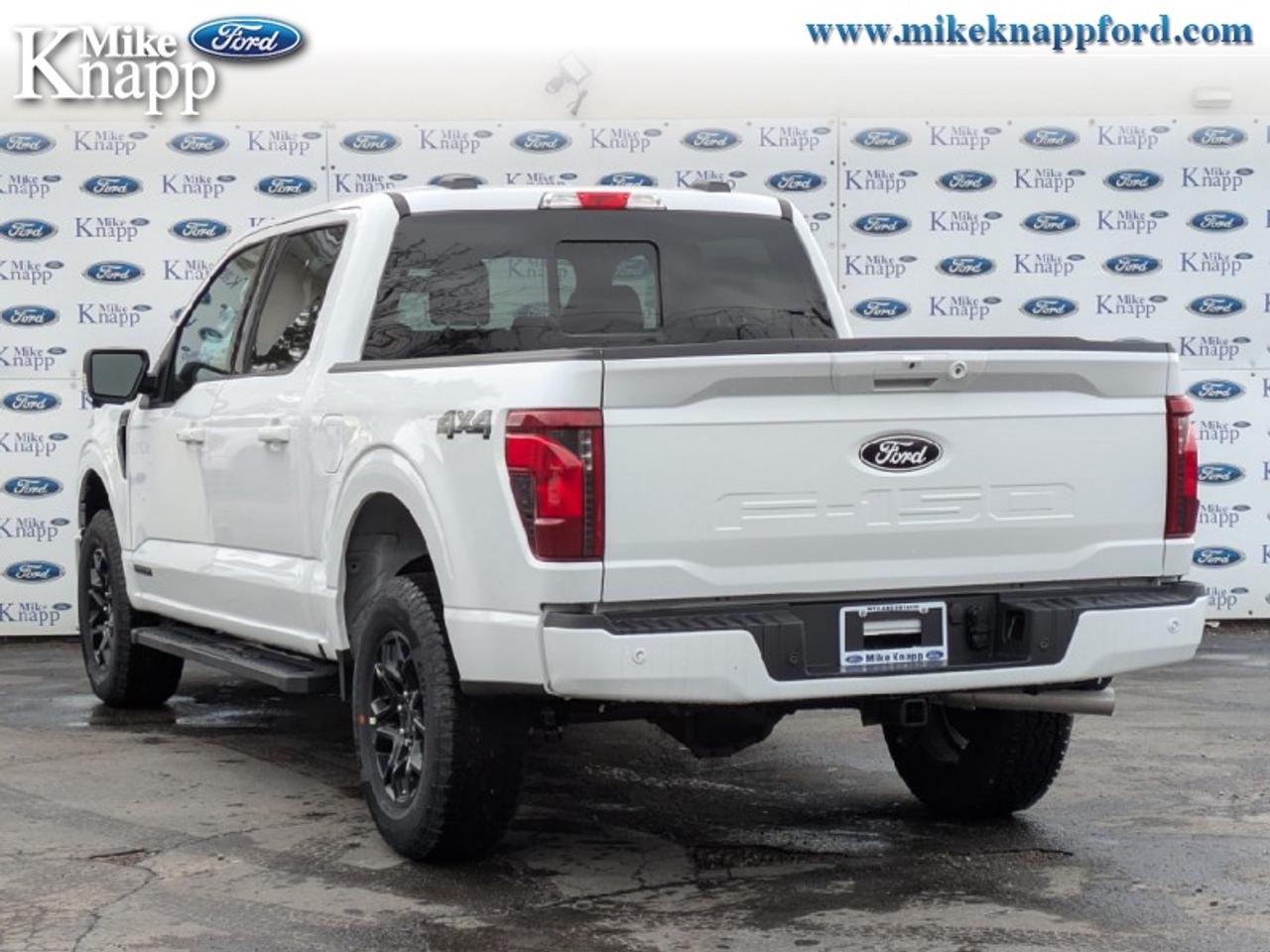 2026 Ford F-150 XLT Photo