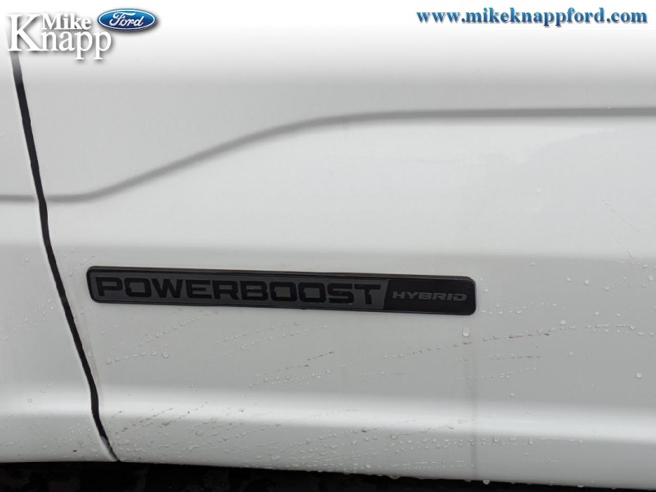 2026 Ford F-150 XLT Photo