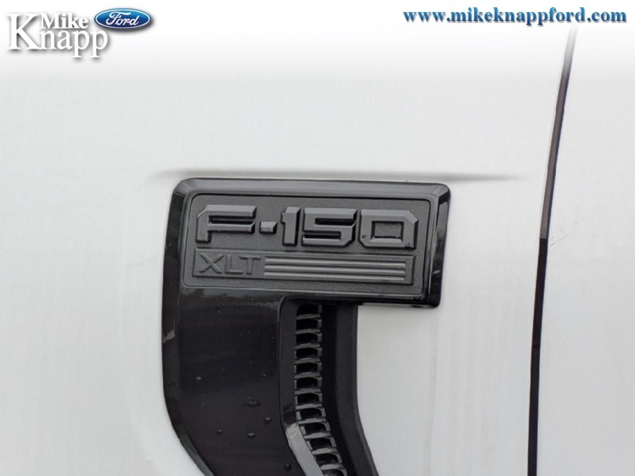 2026 Ford F-150 XLT Photo