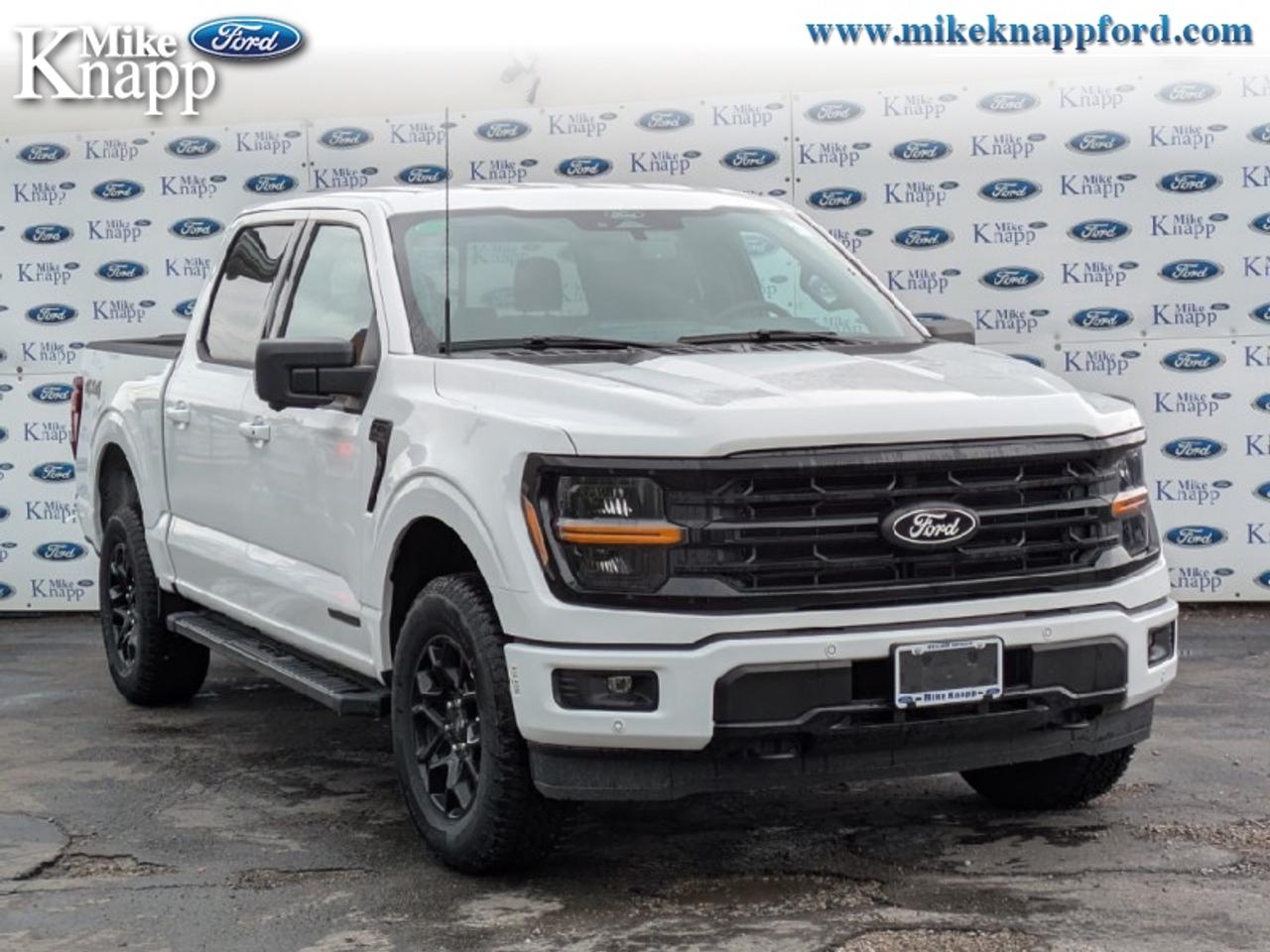 2026 Ford F-150 XLT Photo