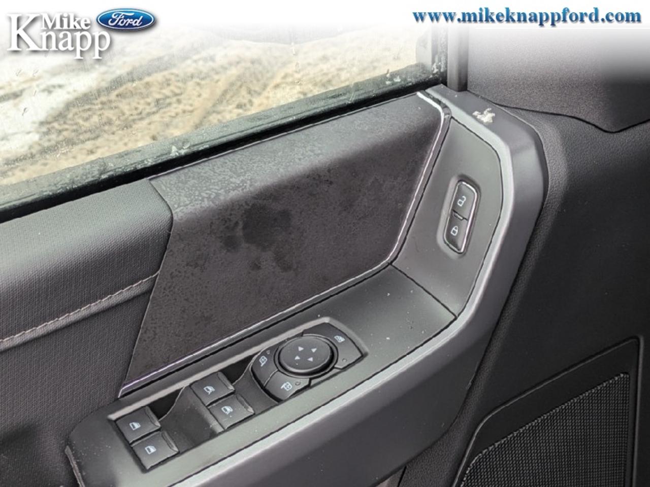 2026 Ford F-150 XLT Photo