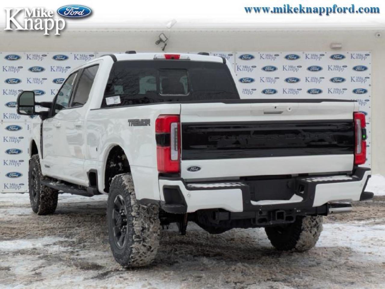2026 Ford F-250 SUPER DUTY Platinum Photo2