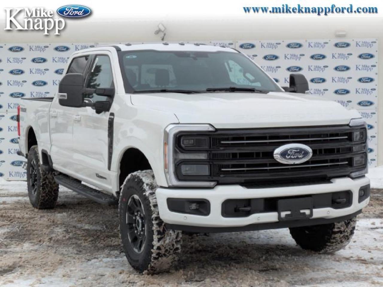 2026 Ford F-250 SUPER DUTY Platinum Photo