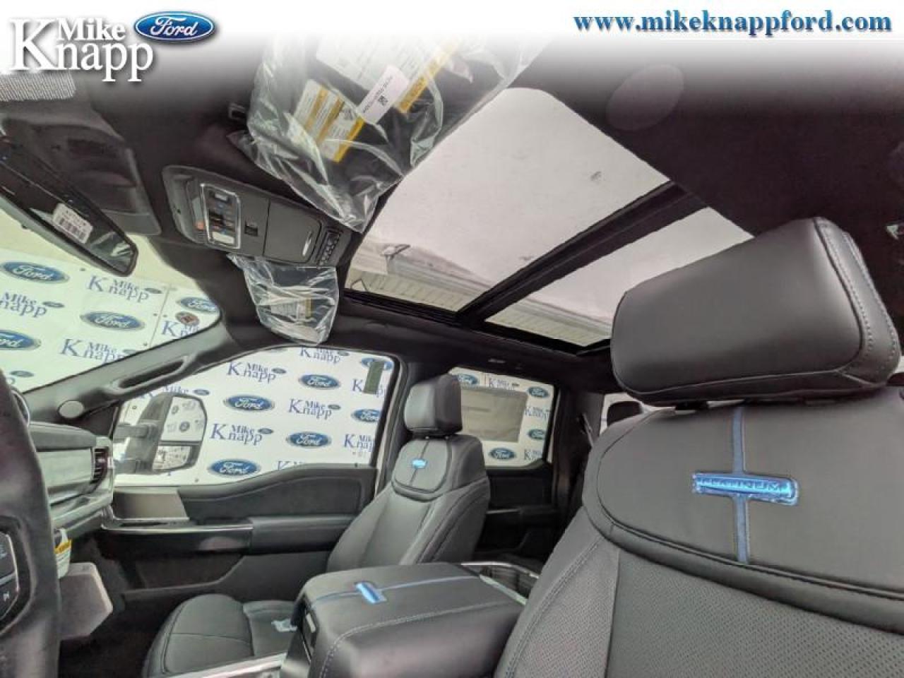 2026 Ford F-250 SUPER DUTY Platinum Photo