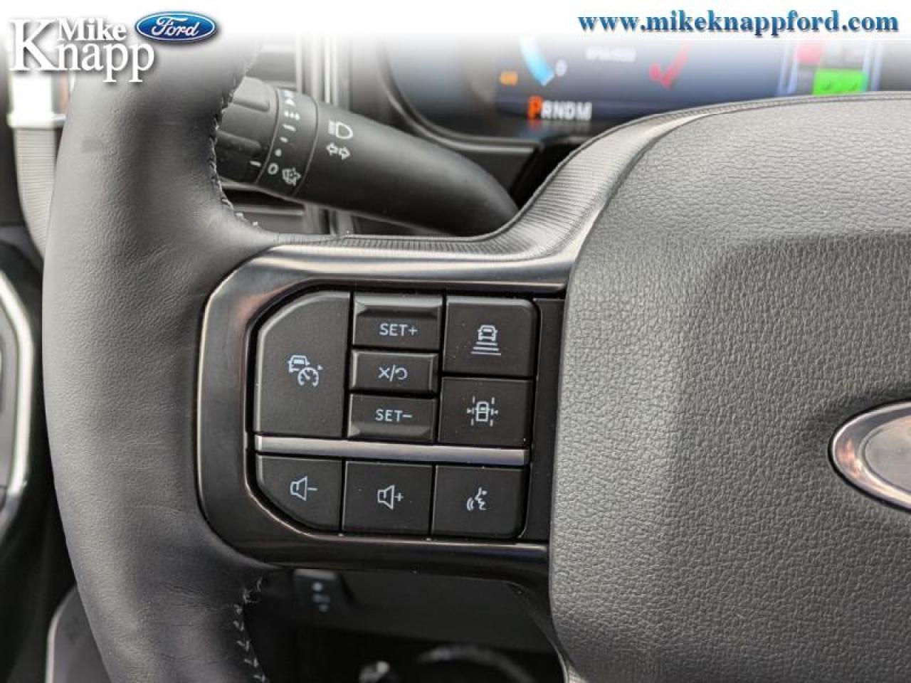 2026 Ford F-250 SUPER DUTY Platinum Photo