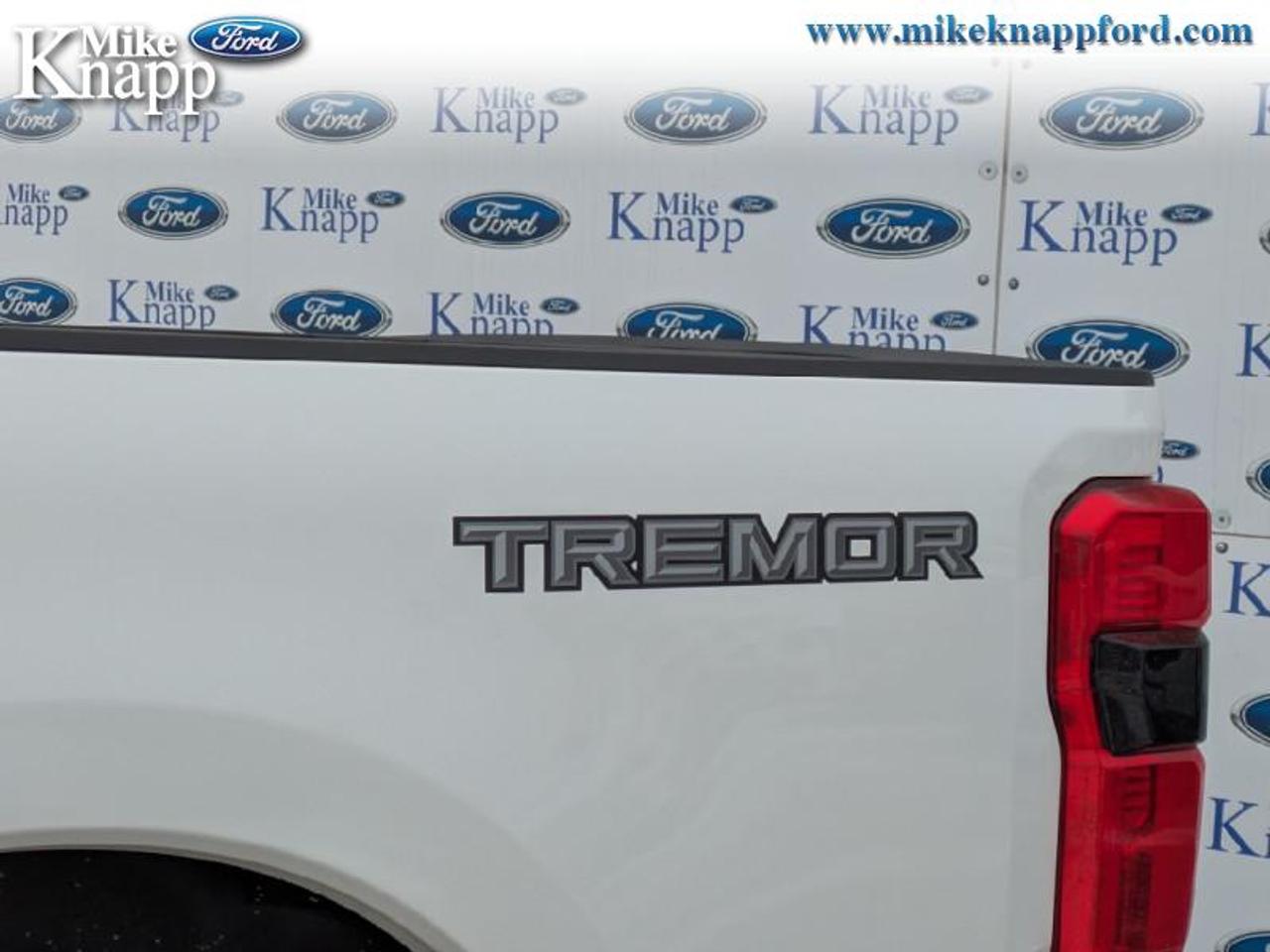 2026 Ford F-250 SUPER DUTY Platinum Photo