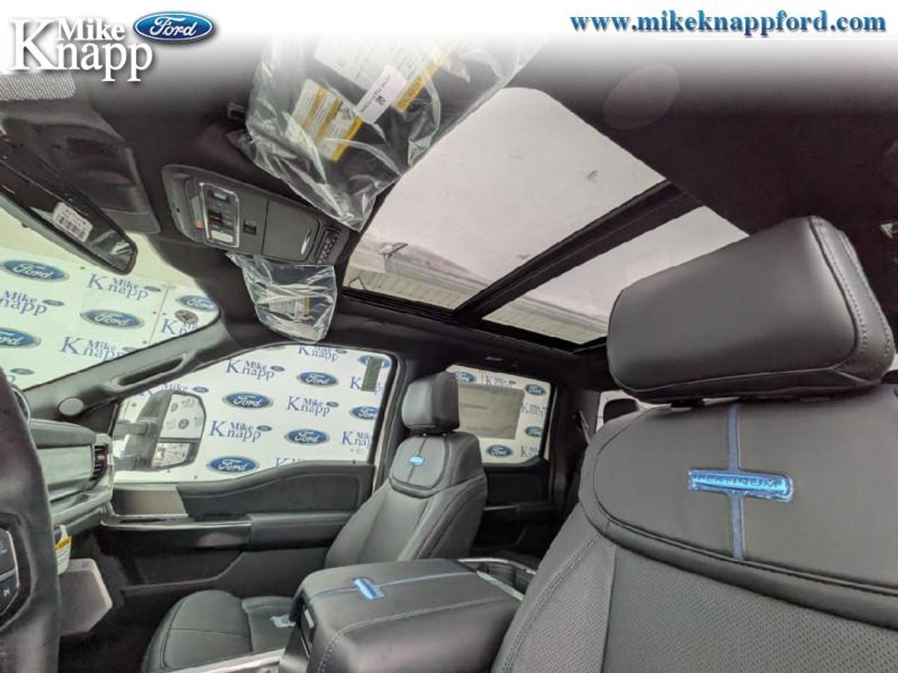 2026 Ford F-250 SUPER DUTY Platinum Photo