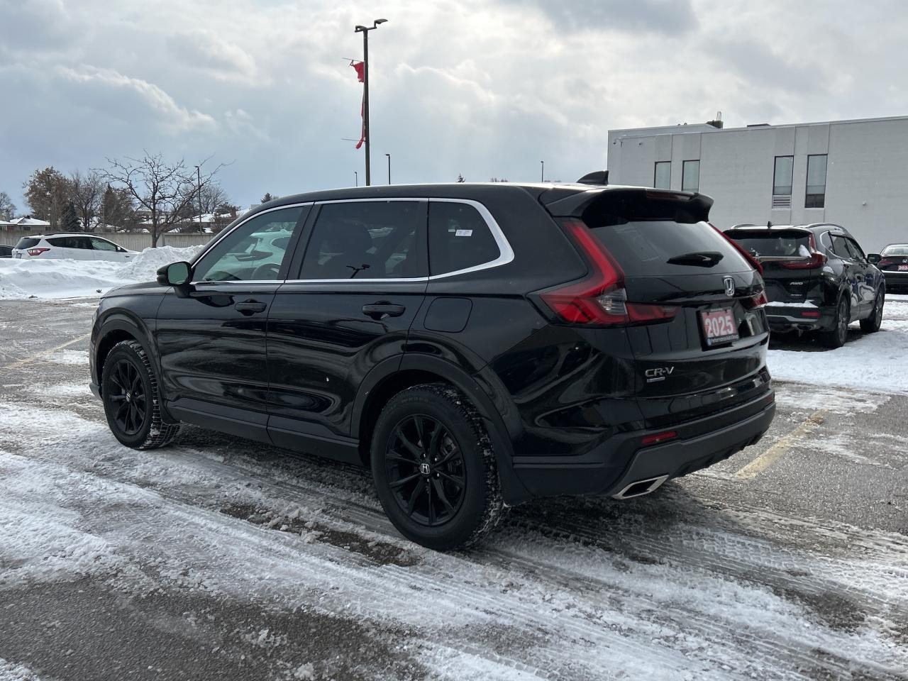 2025 Honda CR-V Hybrid EX-L Hybrid Leather Sunroof CarPlay - H. Steering Photo