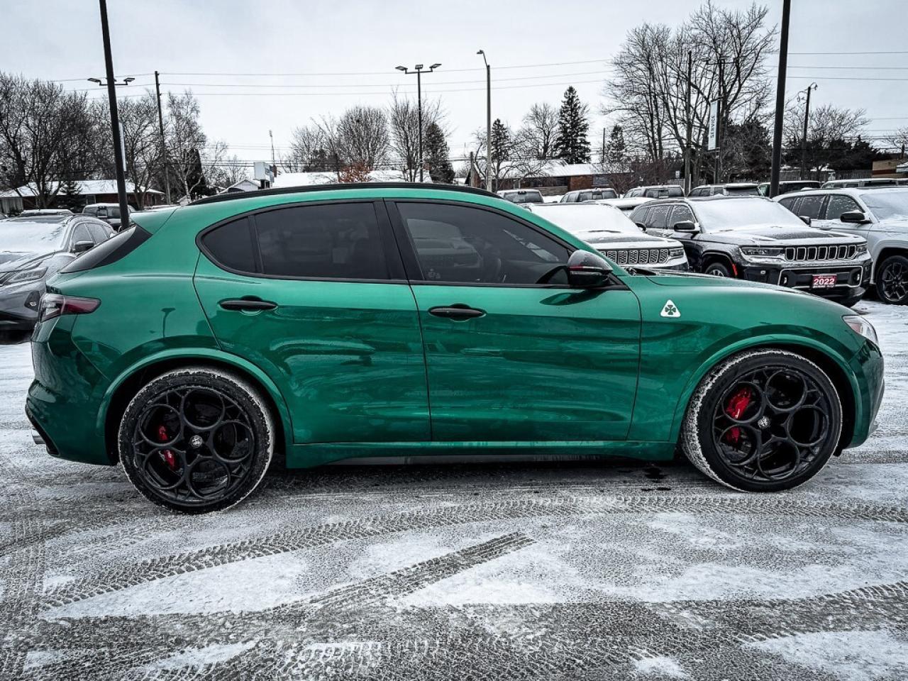 2024 Alfa Romeo Stelvio Quadrifoglio   SOLD THANK YOU!!! Photo2