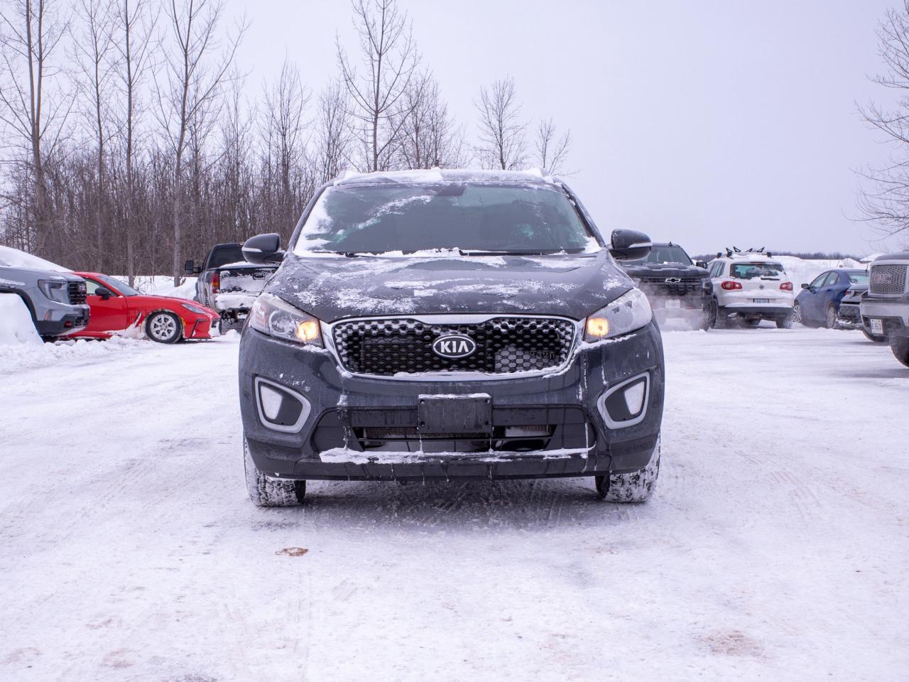 2017 Kia Sorento LX Turbo - Woodgrain Interior Trim   Heated Seats Photo2