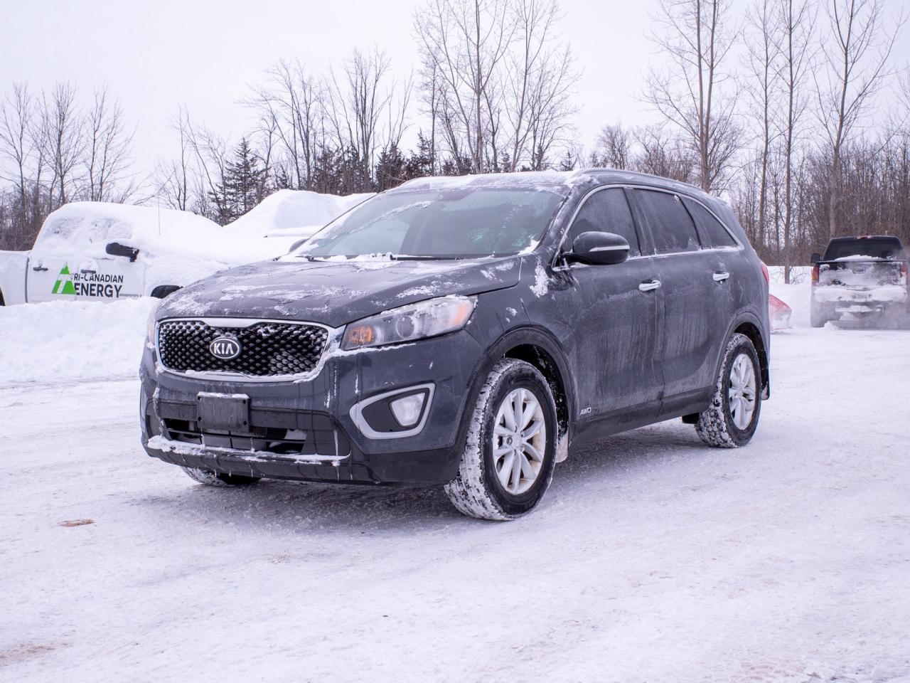 2017 Kia Sorento LX Turbo - Woodgrain Interior Trim   Heated Seats Photo3