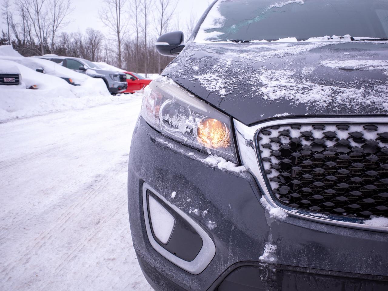 2017 Kia Sorento LX Turbo - Woodgrain Interior Trim   Heated Seats Photo