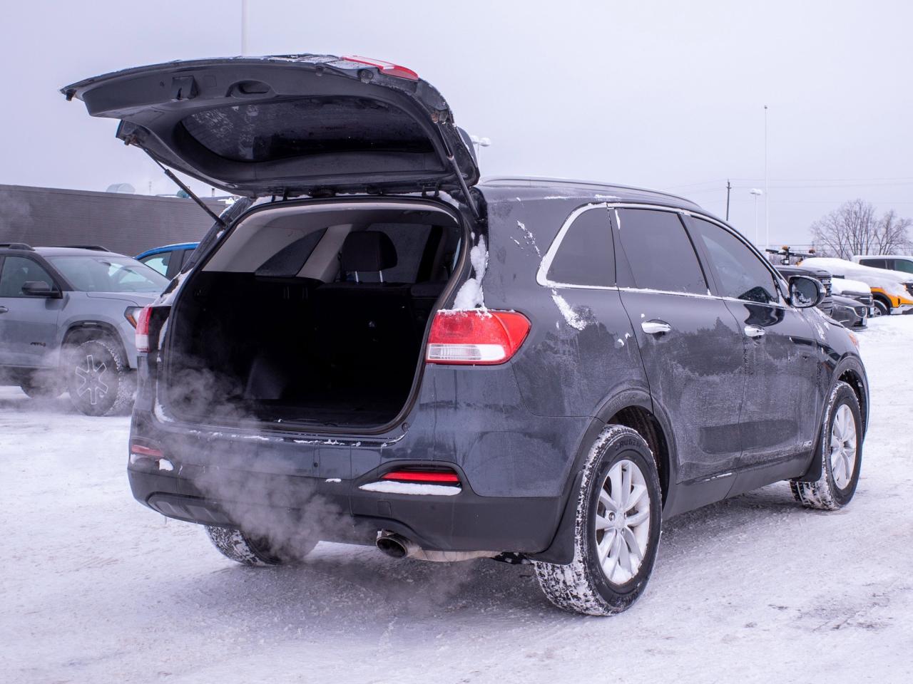2017 Kia Sorento LX Turbo - Woodgrain Interior Trim   Heated Seats Photo