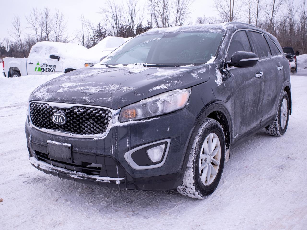 2017 Kia Sorento LX Turbo - Woodgrain Interior Trim   Heated Seats Photo
