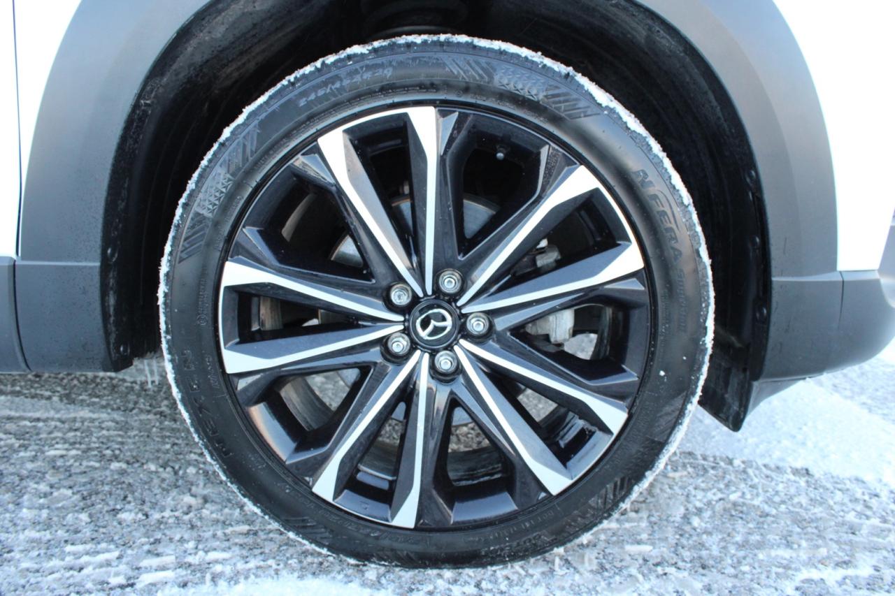 2023 Mazda CX-50 GT w/Turbo AWD   NO ACCIDENT   CLEAN CARFAX   BROW Photo