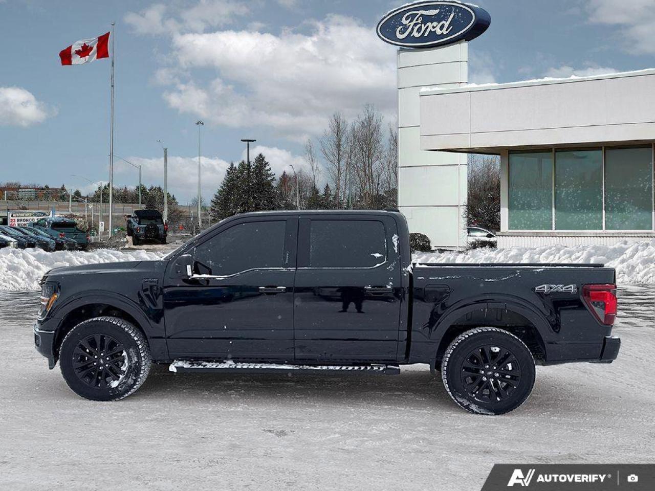 2024 Ford F-150 XLT   LTHR   TRAILER HITCH CLASS IV LTHR   TRAILER Photo3