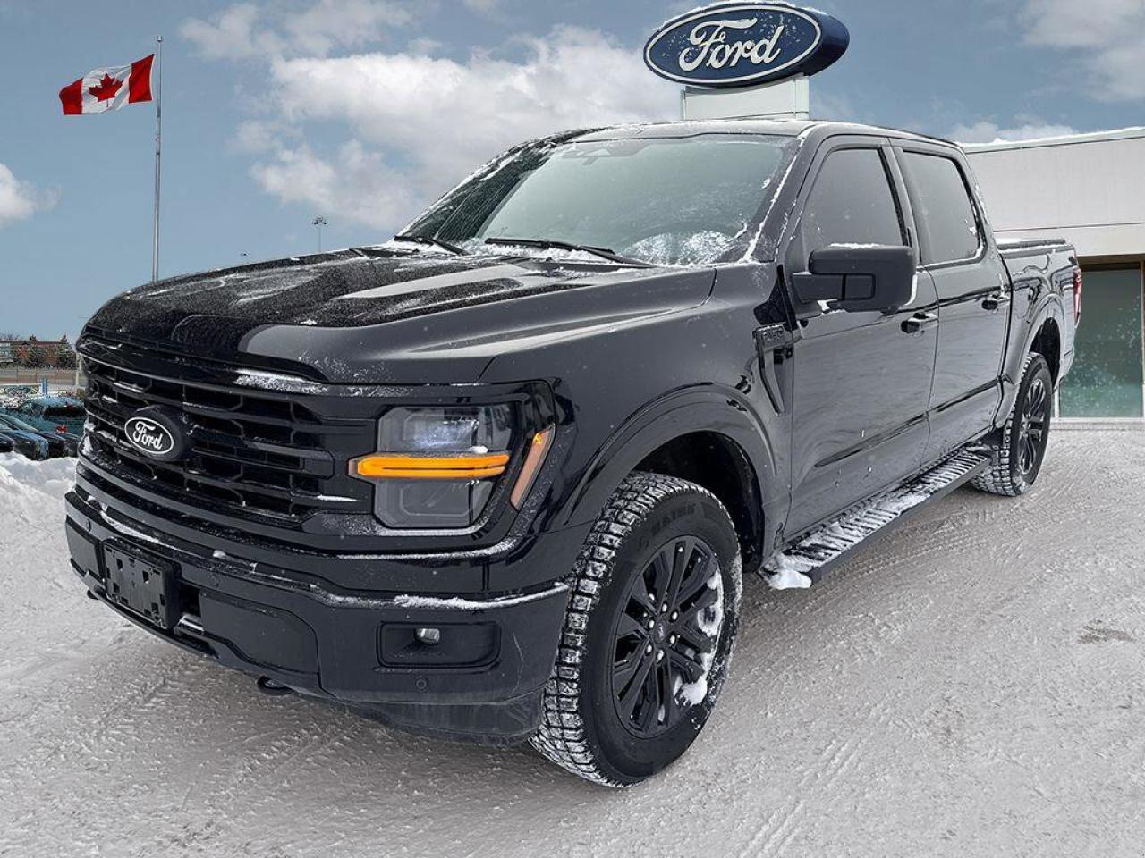 2024 Ford F-150 XLT   LTHR   TRAILER HITCH CLASS IV LTHR   TRAILER Photo