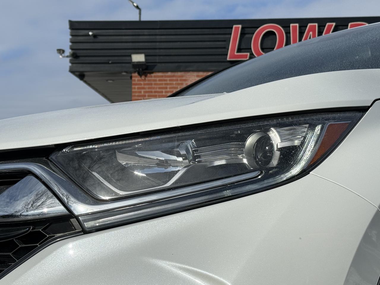 2019 Honda CR-V EX-L AWD   Leather   BSM   Camera   Sunroof Photo2