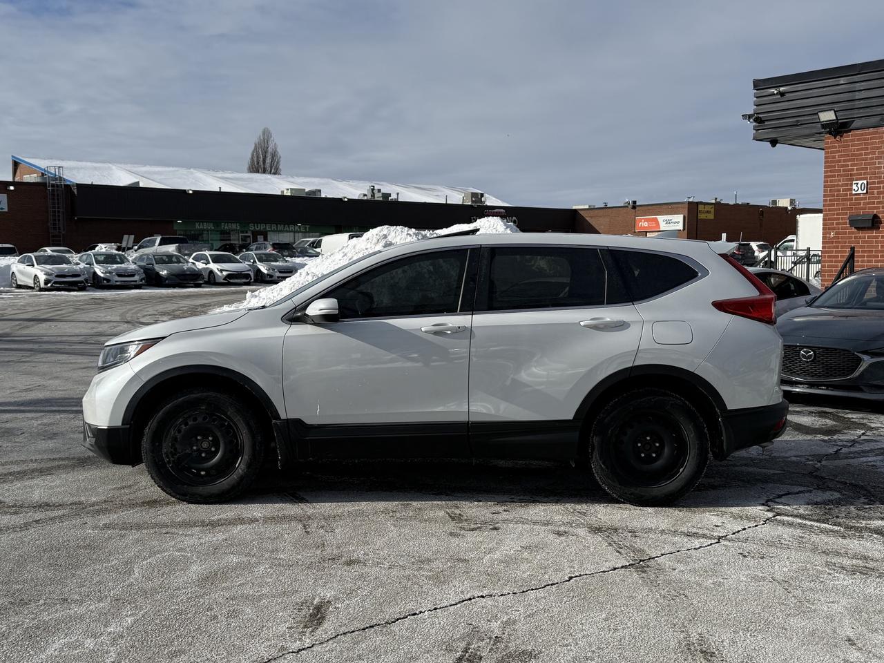 2019 Honda CR-V EX-L AWD   Leather   BSM   Camera   Sunroof Photo