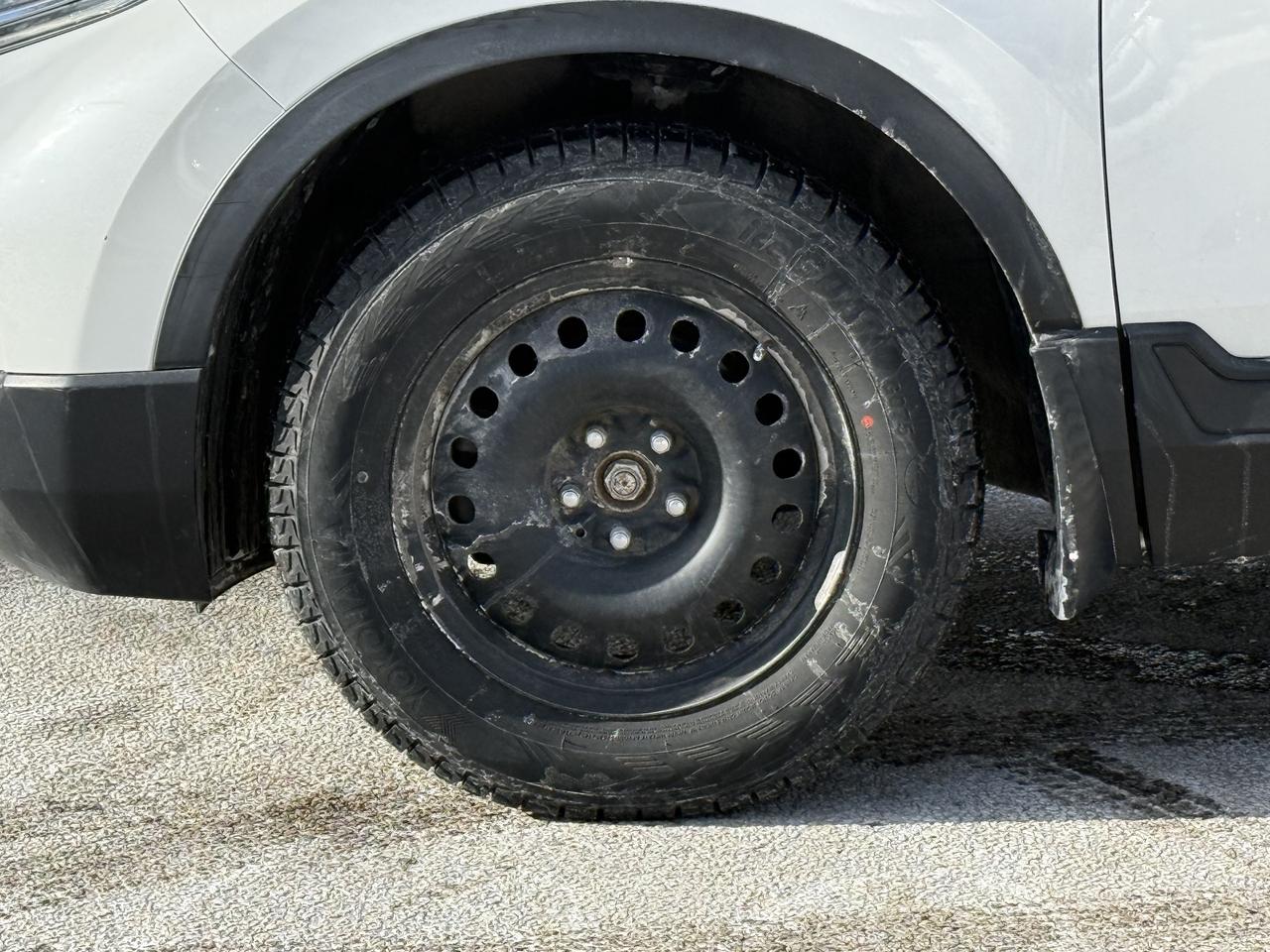 2019 Honda CR-V EX-L AWD   Leather   BSM   Camera   Sunroof Photo