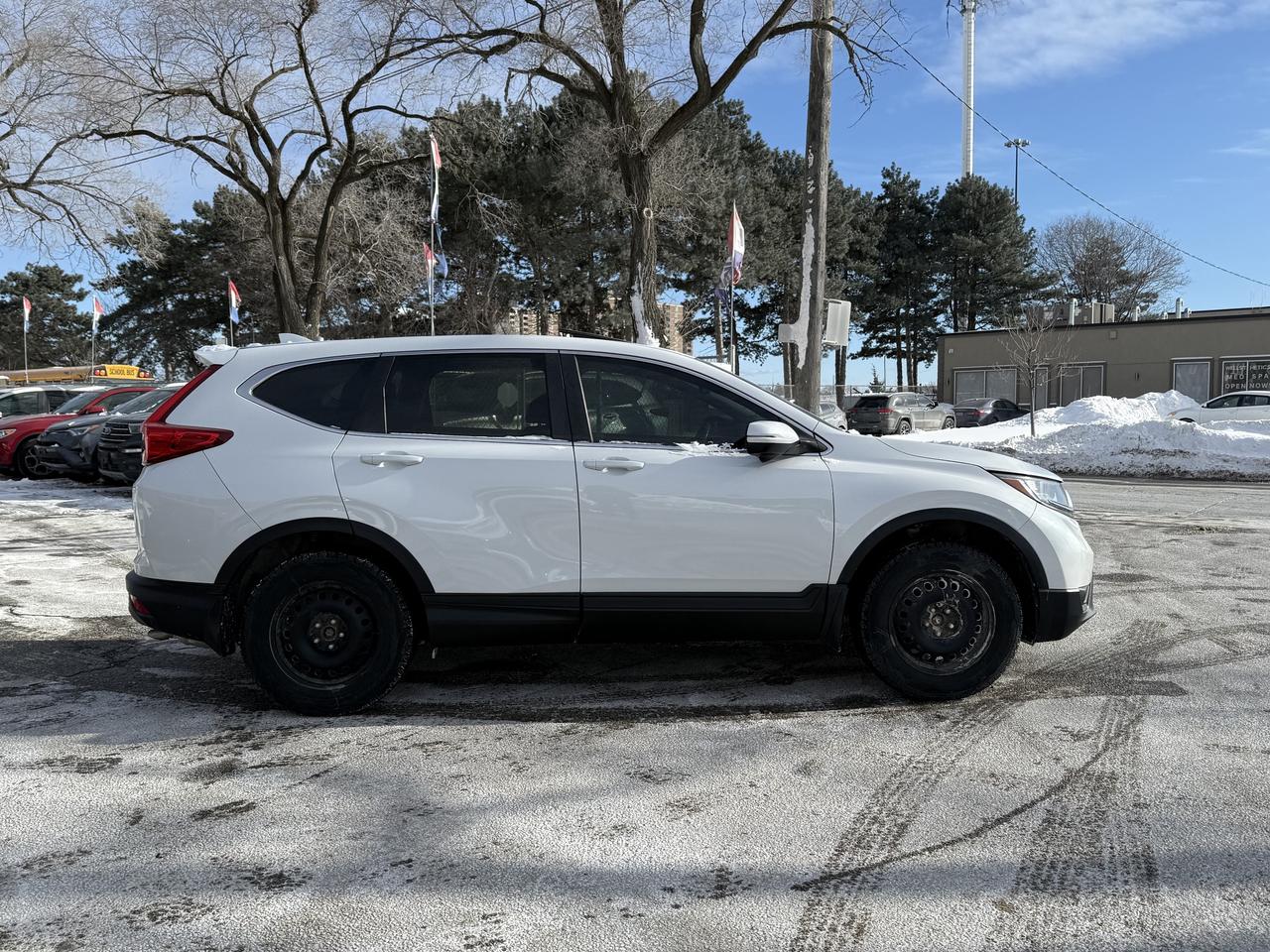 2019 Honda CR-V EX-L AWD   Leather   BSM   Camera   Sunroof Photo