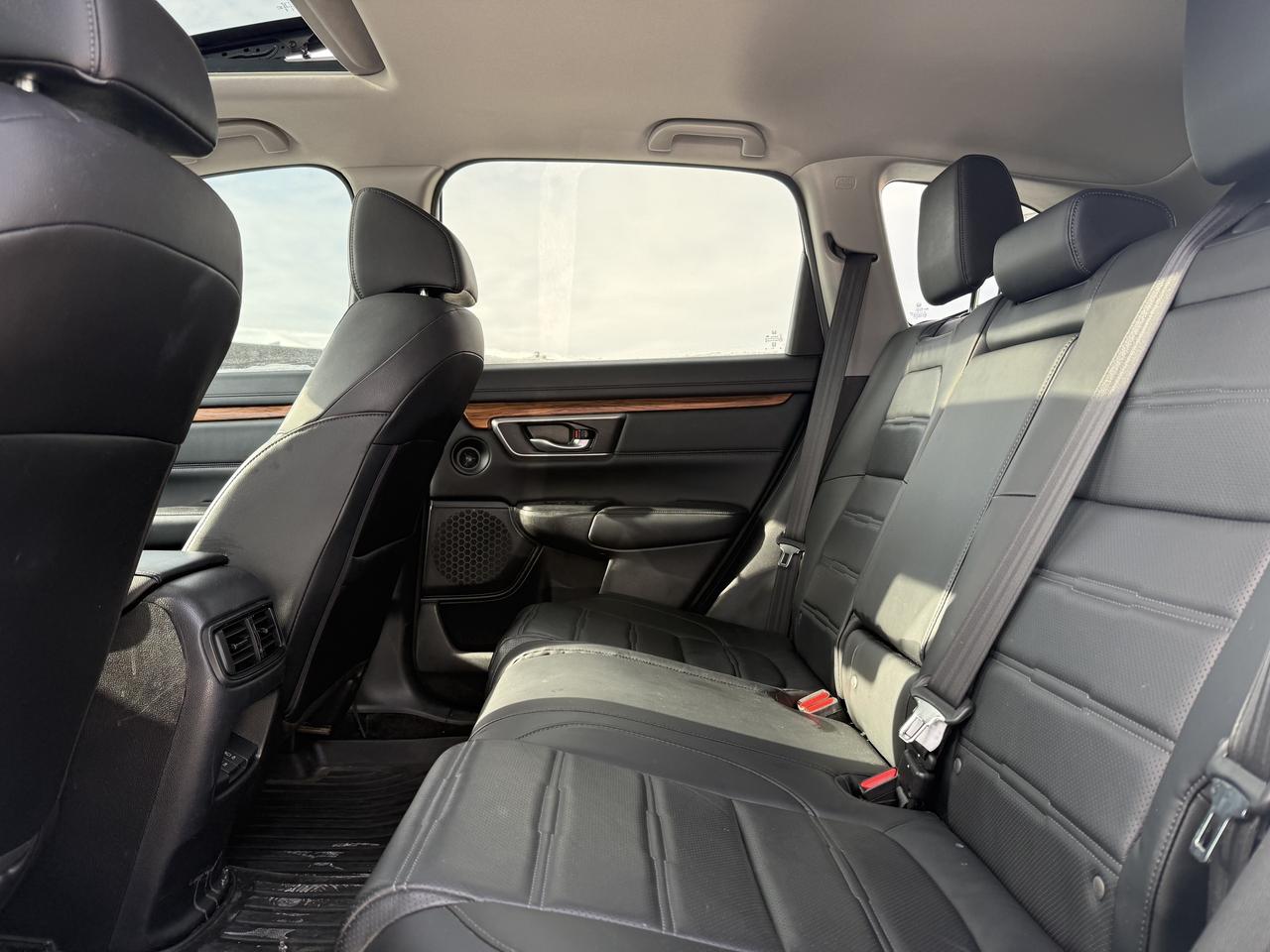 2019 Honda CR-V EX-L AWD   Leather   BSM   Camera   Sunroof Photo