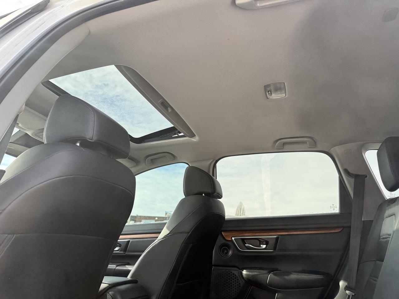 2019 Honda CR-V EX-L AWD   Leather   BSM   Camera   Sunroof Photo