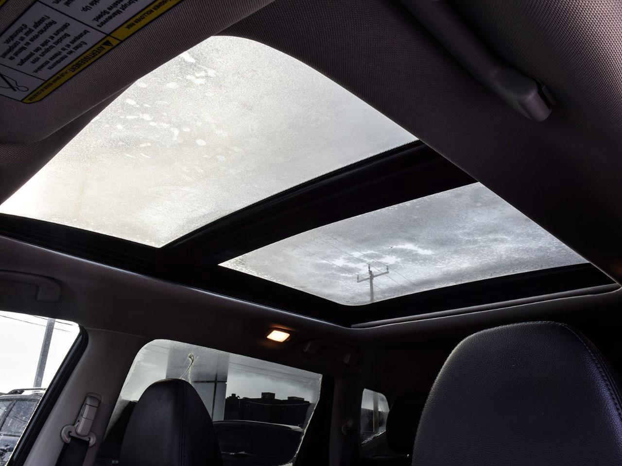 2020 Nissan Rogue SL Photo