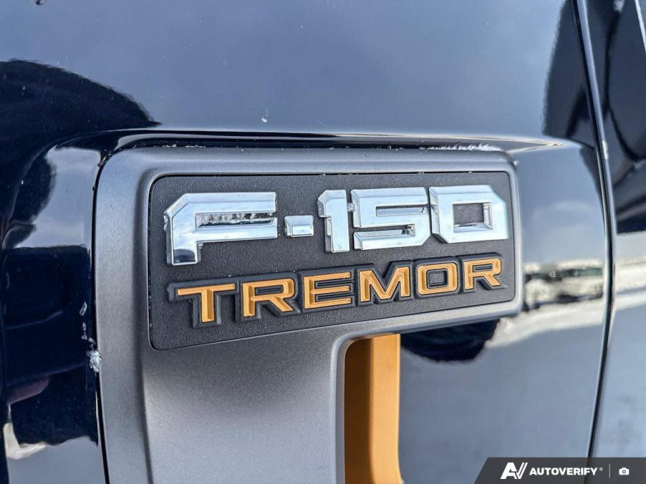 2024 Ford F-150 Tremor   REAR CAMERA   TRAILER HITCH REAR CAMERA Photo