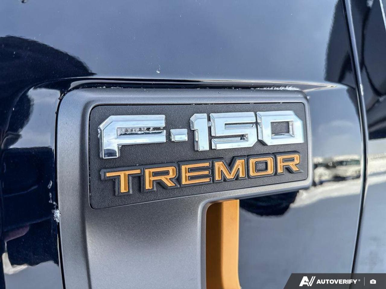 2024 Ford F-150 Tremor   REAR CAMERA   TRAILER HITCH Photo