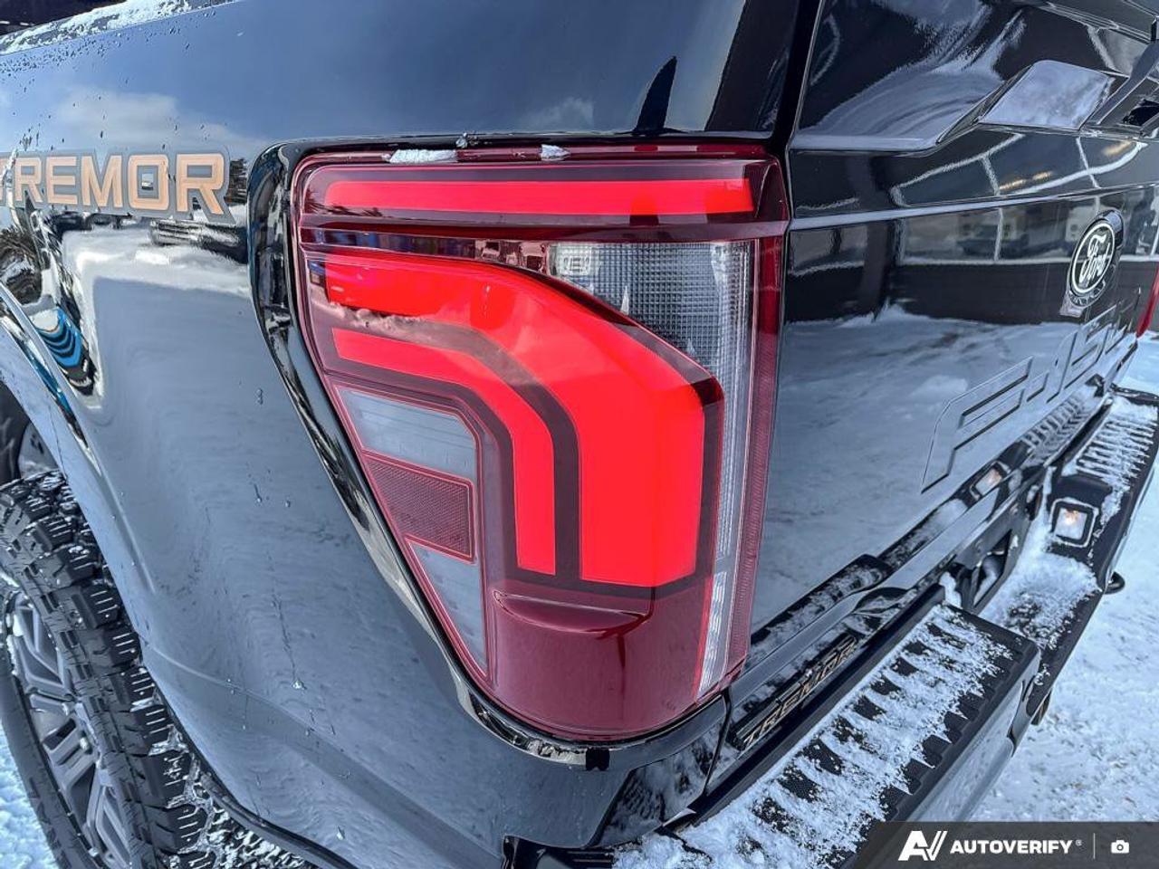 2024 Ford F-150 Tremor   REAR CAMERA   TRAILER HITCH Photo