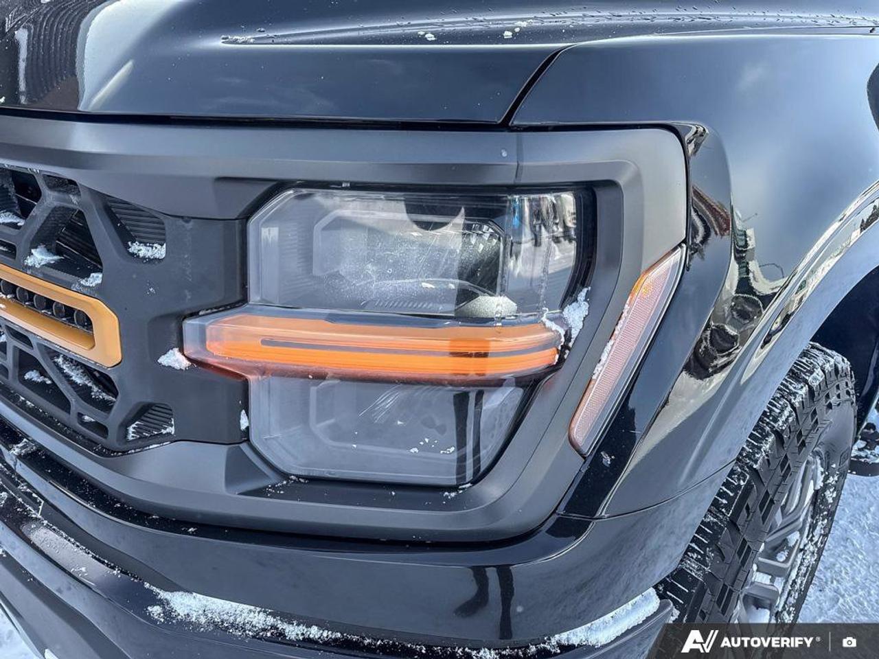 2024 Ford F-150 Tremor   REAR CAMERA   TRAILER HITCH Photo