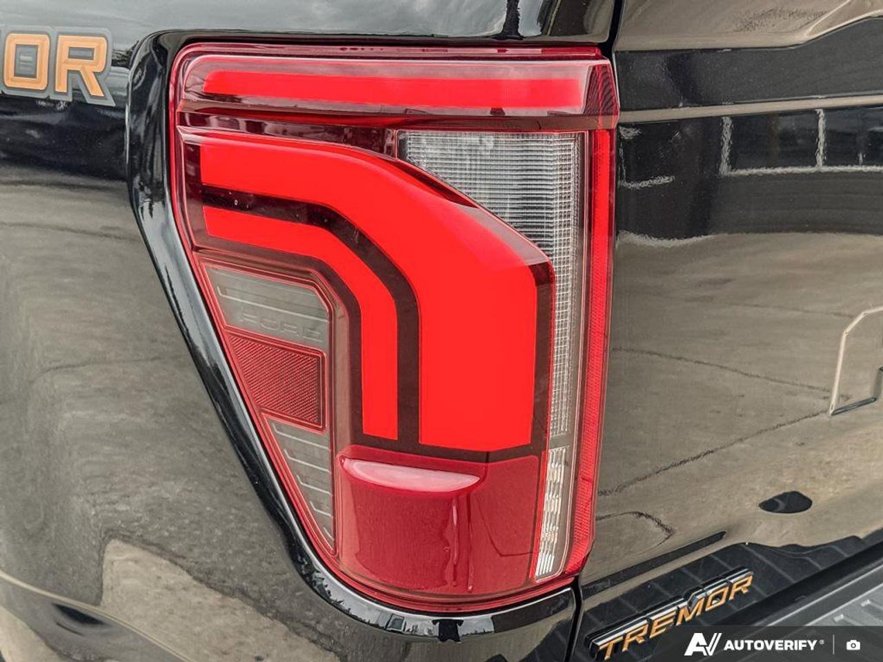 2024 Ford F-150 Tremor   REAR CAMERA   TRAILER HITCH Photo