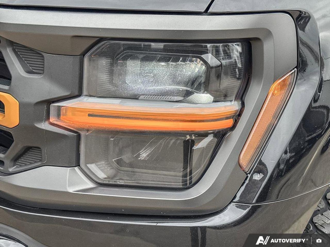 2024 Ford F-150 Tremor   REAR CAMERA   TRAILER HITCH Photo