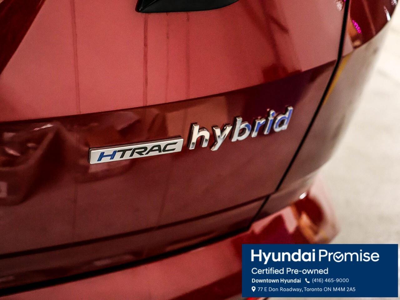 2024 Hyundai Tucson Hybrid N-Line AWD Photo