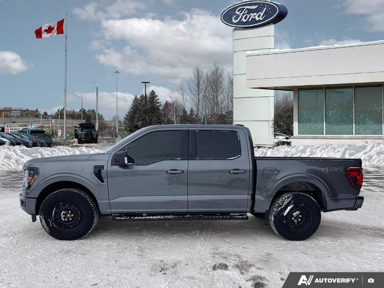 2025 Ford F-150 XLT Photo3