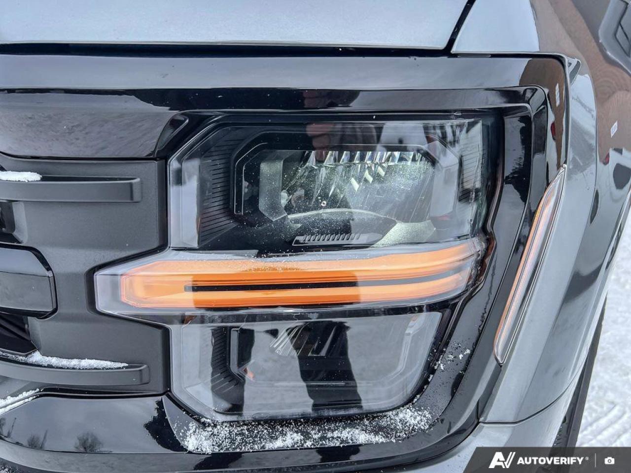 2025 Ford F-150 XLT Photo