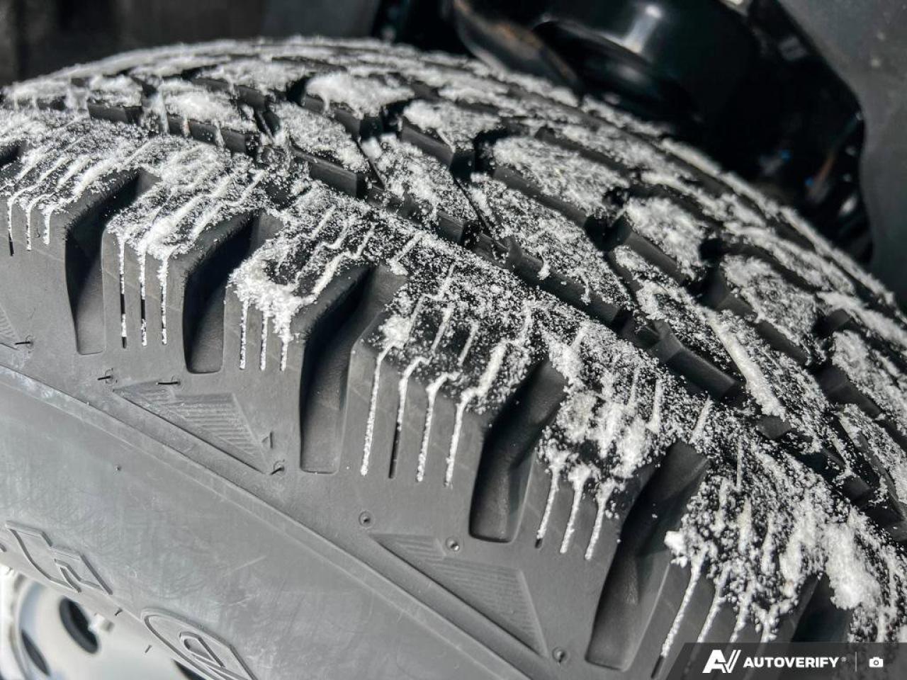 2025 Ford F-150 XLT Photo