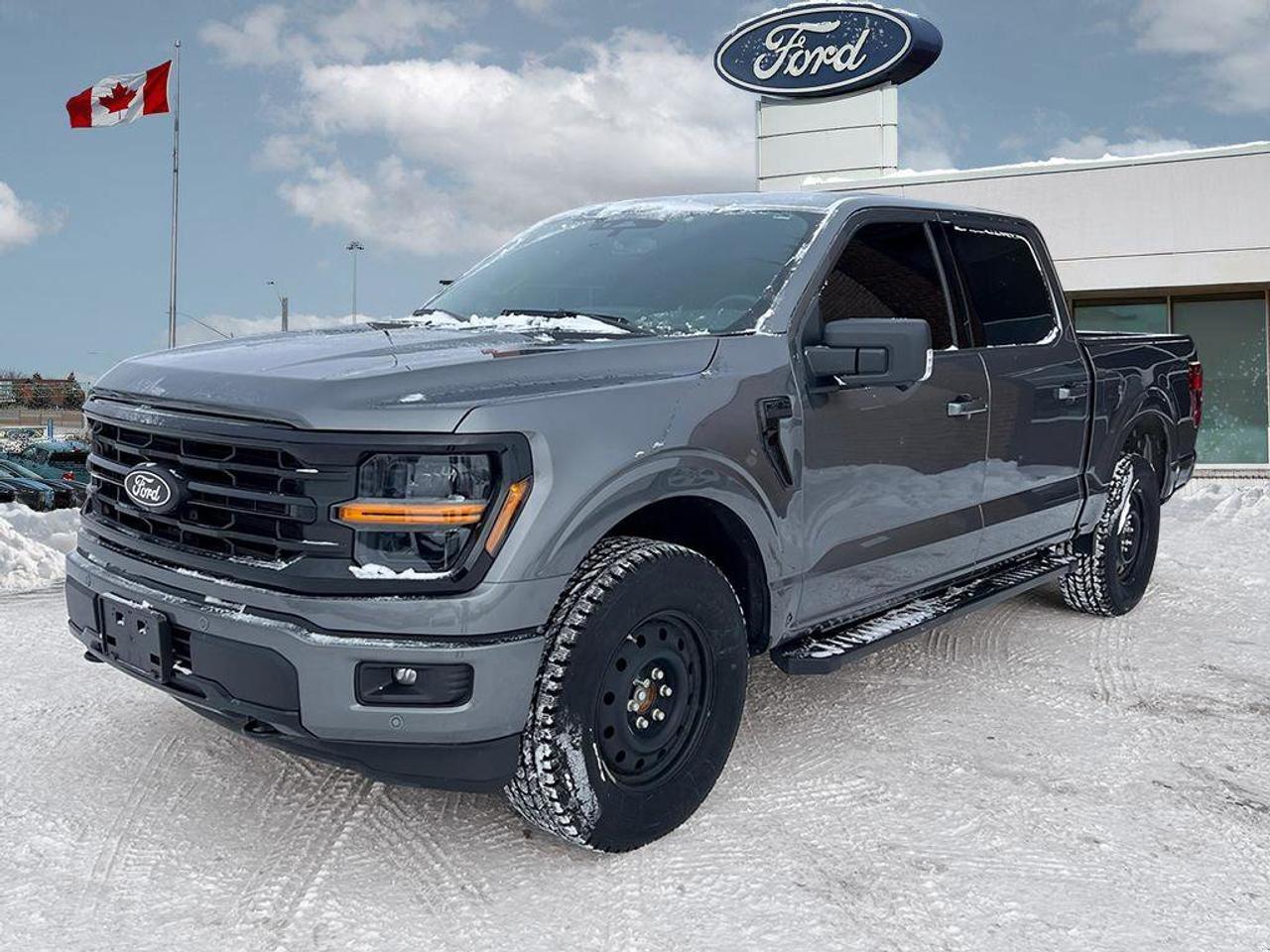 2025 Ford F-150 XLT   ONE OWNER   5.0L V8   LEATHER Photo