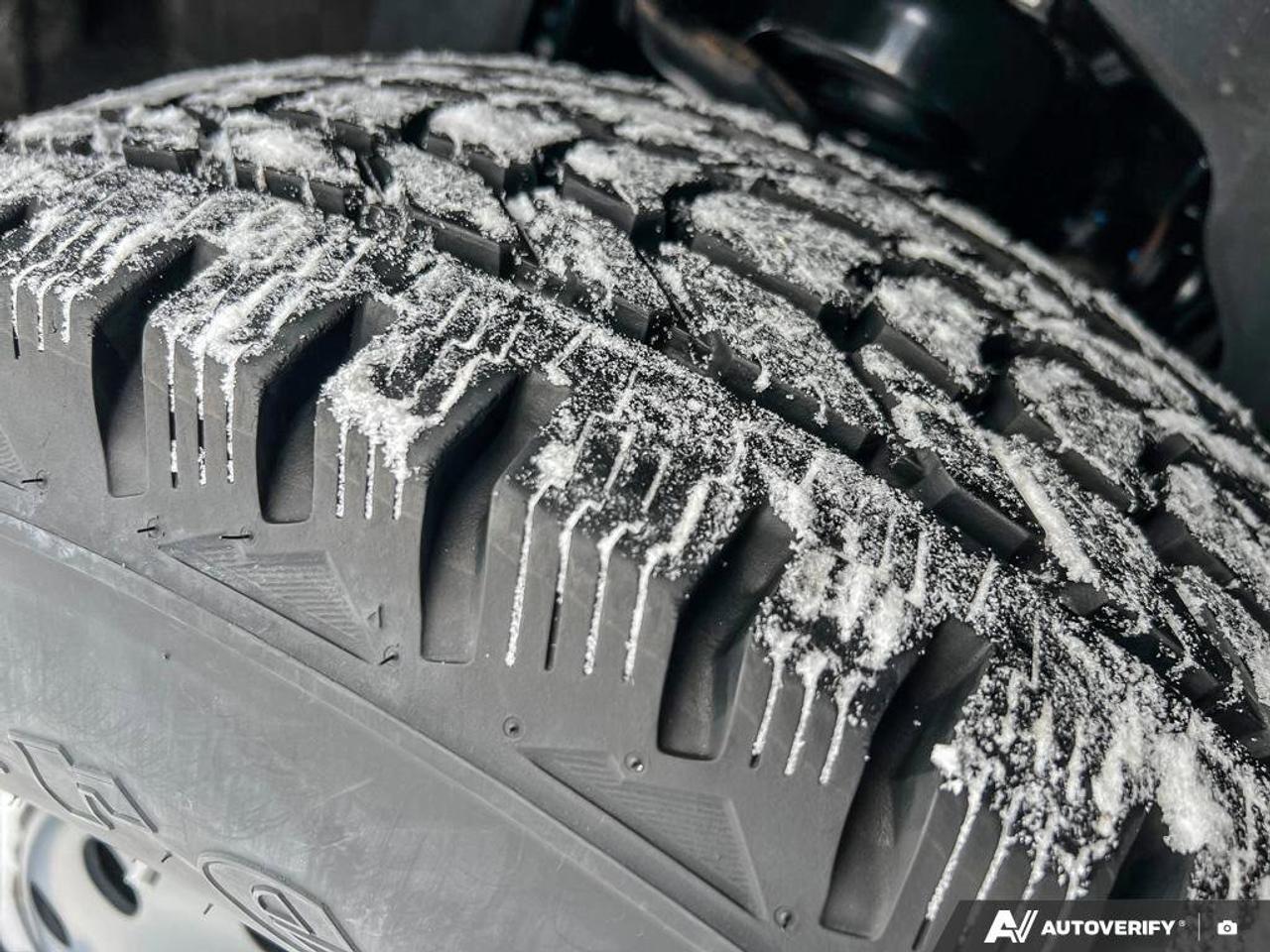 2025 Ford F-150 XLT   ONE OWNER   5.0L V8   LEATHER Photo