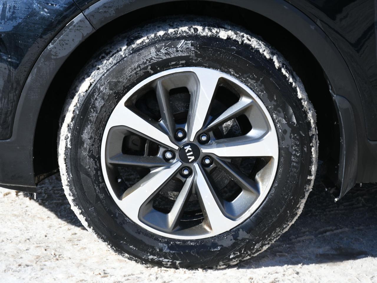 2019 Kia Sorento EX AS-IS   You Certify, You Save Photo