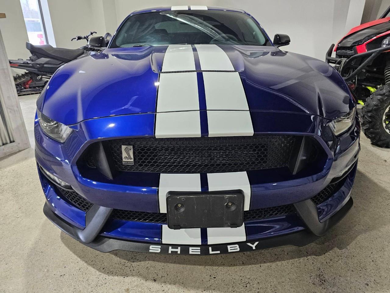 2016 Ford Shelby GT350 Base 2dr Fastback Photo