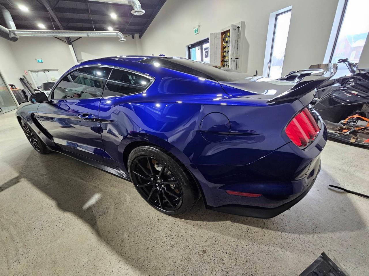 2016 Ford Shelby GT350 Base 2dr Fastback Photo