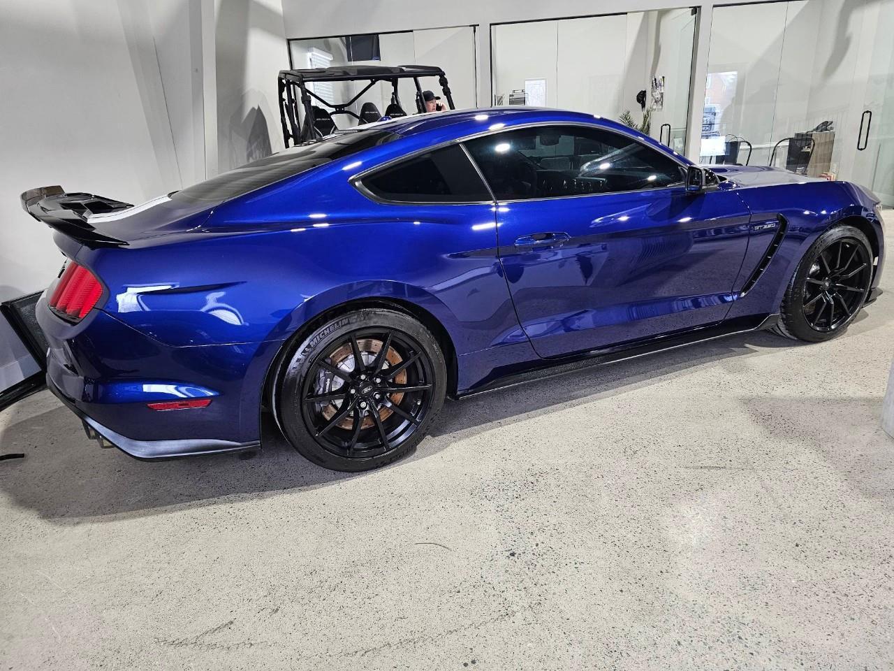 2016 Ford Shelby GT350 Base 2dr Fastback Photo