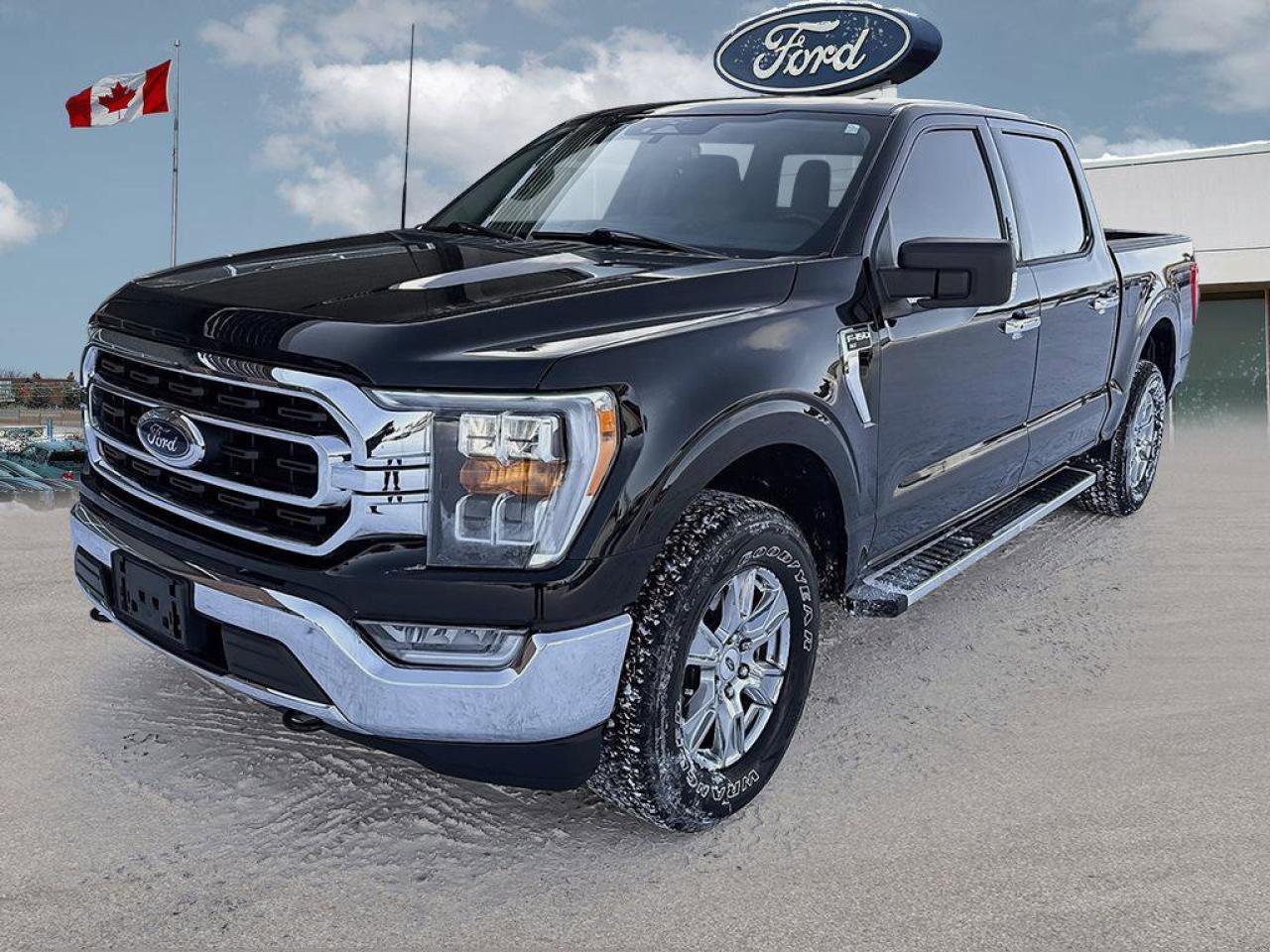 2023 Ford F-150 XLT   TRAILER TOW PKG   TAILGATE STEP TRAILER TOW Photo