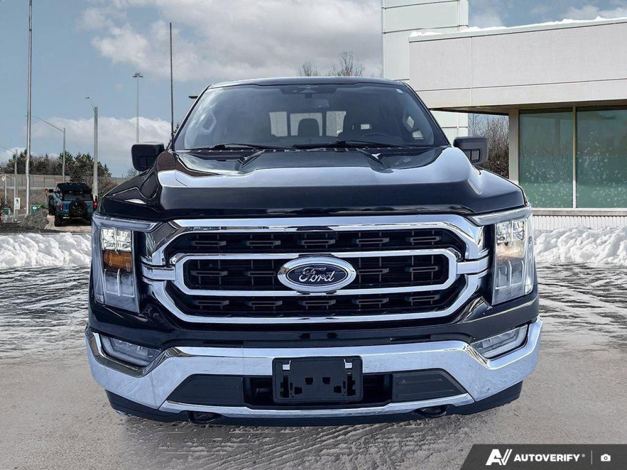 2023 Ford F-150 XLT   TRAILER TOW PKG   TAILGATE STEP TRAILER TOW Photo