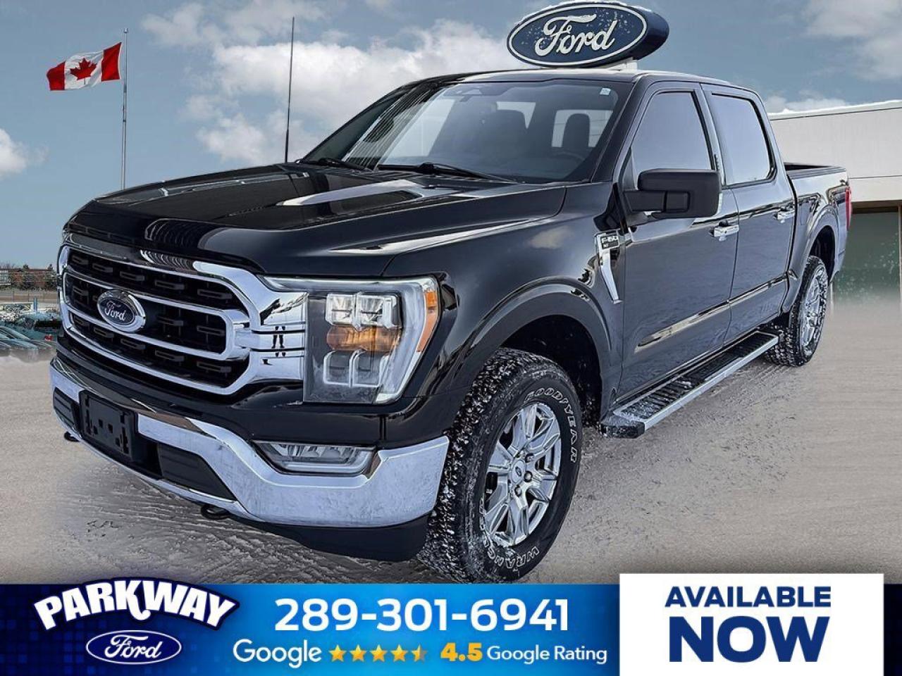 2023 Ford F-150 XLT   TRAILER TOW PKG   TAILGATE STEP TRAILER TOW Photo