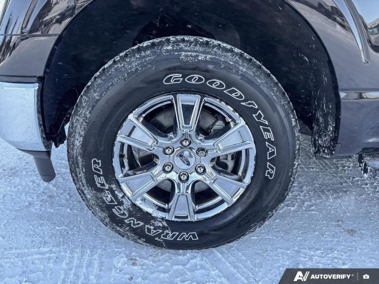 2023 Ford F-150 XLT   TRAILER TOW PKG   TAILGATE STEP TRAILER TOW Photo