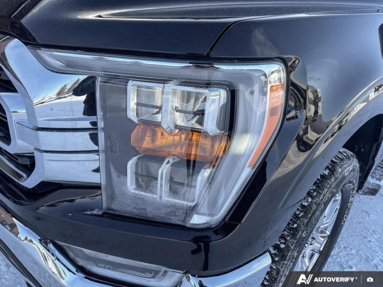 2023 Ford F-150 XLT   TRAILER TOW PKG   TAILGATE STEP TRAILER TOW Photo